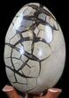 Septarian Dragon Egg Geode - Black Crystals #40932-2